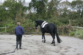 Breaking In Young Horses                                                                            